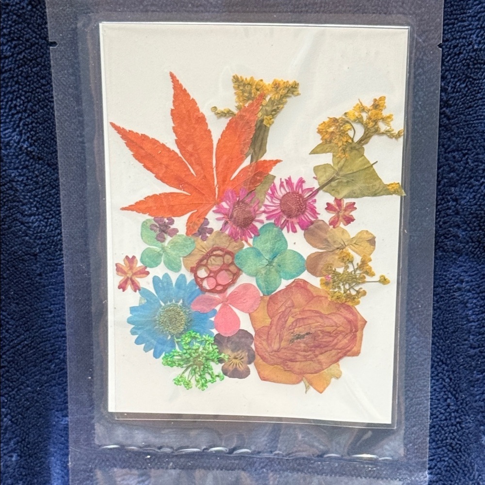 Pressed Floral Art Card - Multicolor Botanical Collage